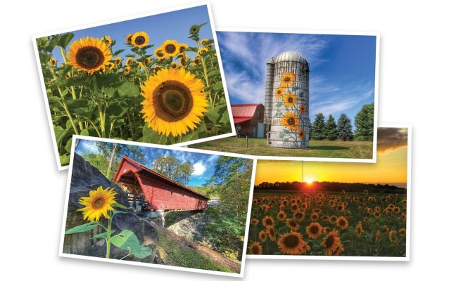 How Think Patented is Supporting Ukraine