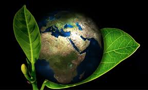 THINK PATENTED’S 2020 GREEN REPORT